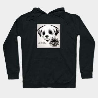 not alone Hoodie